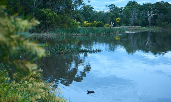 An arial view of the Traralgon Railway Reservoir Conservation Reserve